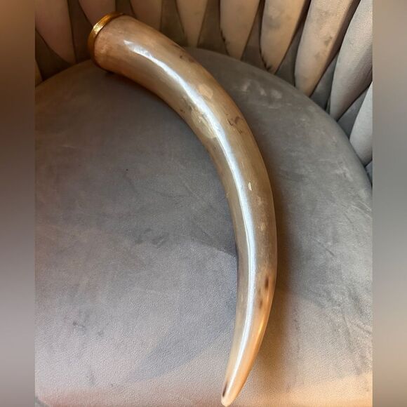 Handcrafted Natural Viking Beer Horn 16"Medieval Drinking Vessel Brass O… - Picture 8 of 15